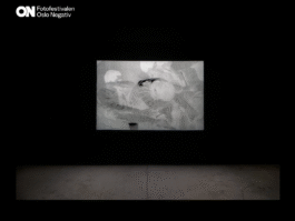 Arrival at Oslo Negativ 2025 